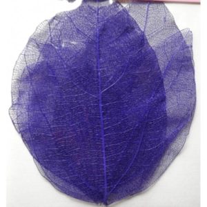 6a3568ec75354456ab1e6b6fc1540ba0