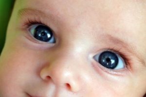 7e58113966c67085953dd45e2ed189c9