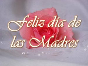 161bb2cd9d87d4fb2583e55eca6a3af4