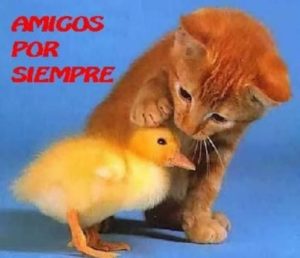 59d925d75340d64d31d5ce71bf6ceaf4