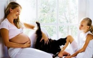 52847945d34c24d045f4f6bfeae5a17d