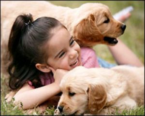 bc4c6771b68b0ed330f1918b8b62d9c4