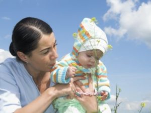 d1ed2bf3d11f7e7a6f189af32a153713