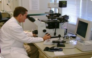 788ff92e9a59aeb146ed681b6c832028