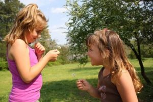 fd276238890ff4fd4fd30b85b5b67400