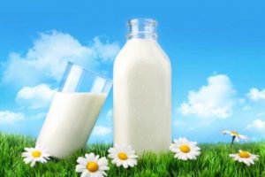 e5979f6514c1887179033c613e3a4b50