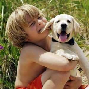 c072cd81b28e1948f39a3598c5667133