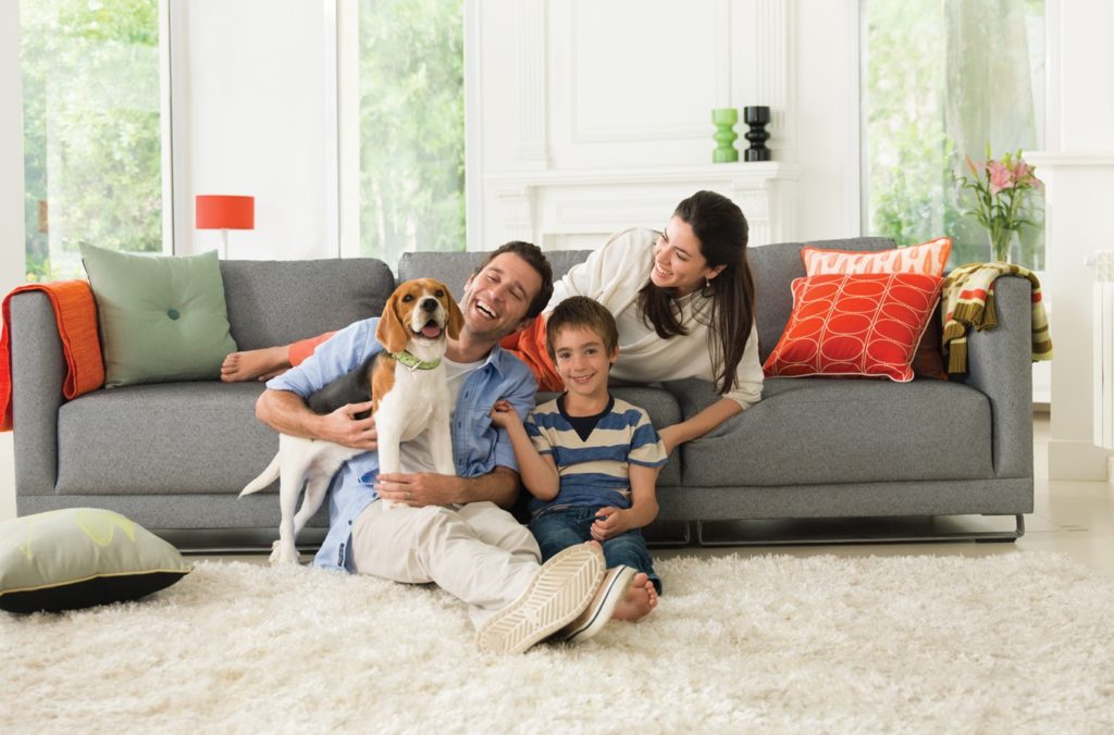 e7d681ddc0174087ad0e36dc718519dd