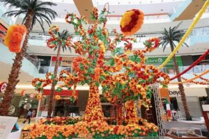 306600c868fe6b67afe34e9f7a9f98b7