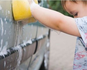 8e9103a81f85f73734c511d55423a7e7