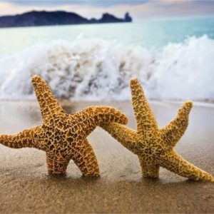 e1a5260e14d121b13781ae5a05e2a9ed