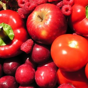 34113e3f628205700ec9cc550290558b