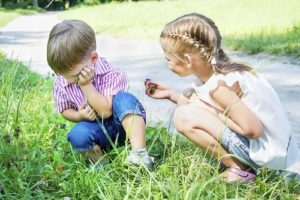 08a4cf1e44f783c853b207a033a173b9