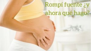 a0e8823e226e7d56487c4040d3ba472c