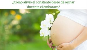 f97ac2be907fe5bc2ac21cbb3aacf027