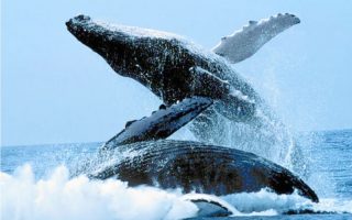 01eec10693d9896b4d757174d0f20dd9