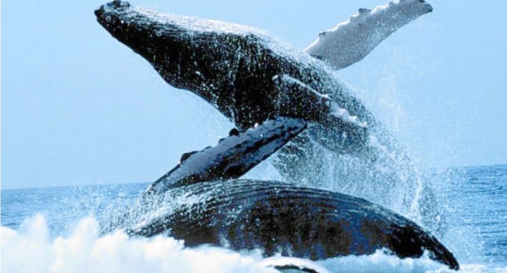 01eec10693d9896b4d757174d0f20dd9