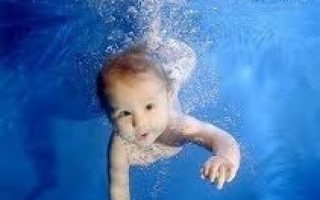 0243cbf1978673fe443d7558de6ab4f0