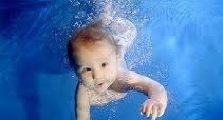 0243cbf1978673fe443d7558de6ab4f0