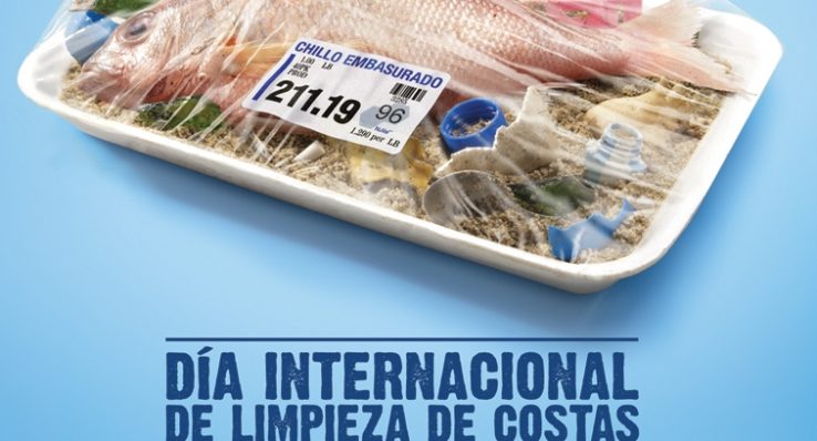 073c82ca8424ec43733d48fbcd8ed116 073c82ca8424ec43733d48fbcd8ed116