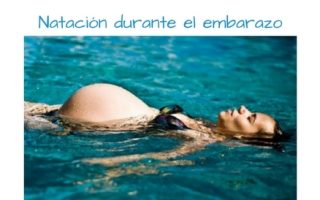 081e8c5764bd56b44c2247712b2a1d08