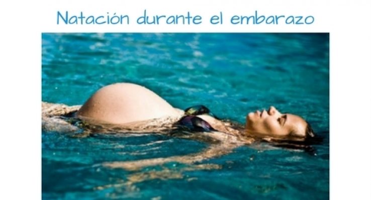 081e8c5764bd56b44c2247712b2a1d08