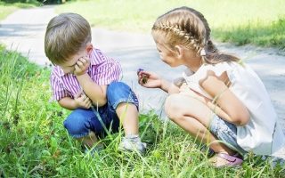 08a4cf1e44f783c853b207a033a173b9