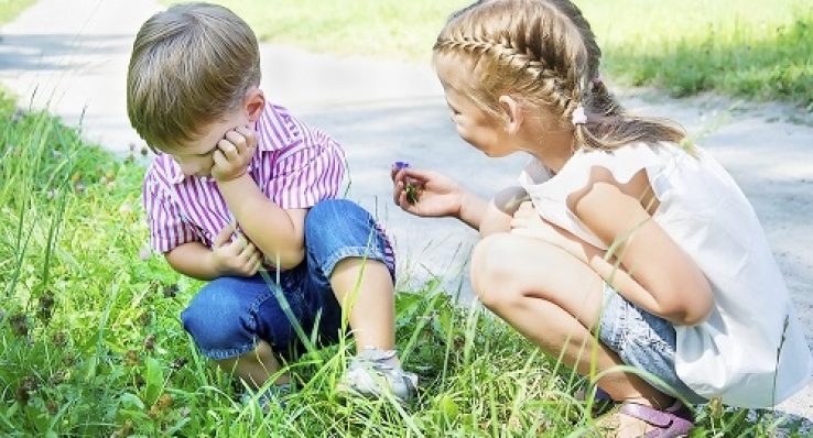 08a4cf1e44f783c853b207a033a173b9