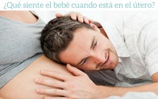 0dab4f73f8e74db8e0ccfc58e81bacd1