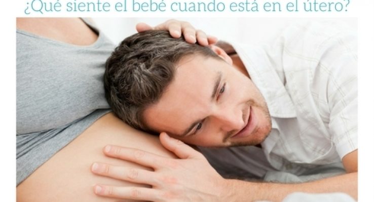 0dab4f73f8e74db8e0ccfc58e81bacd1