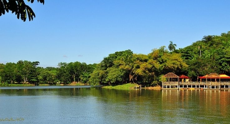 0ea760dfa8da32111175f3c77ef13d15