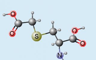 10dd7f46ca2f22ce7ce9308c89d2507c