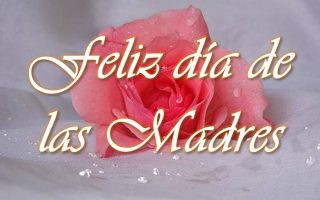 161bb2cd9d87d4fb2583e55eca6a3af4