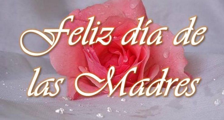 161bb2cd9d87d4fb2583e55eca6a3af4