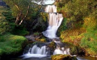 1d36d23b156ead252433d4ce2c21c387