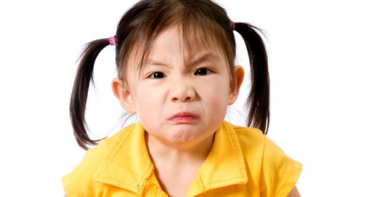 1eca156427374c8abf4738e42b464eef