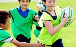 1f9467ed0ebd32e9dc822d63c55d5401