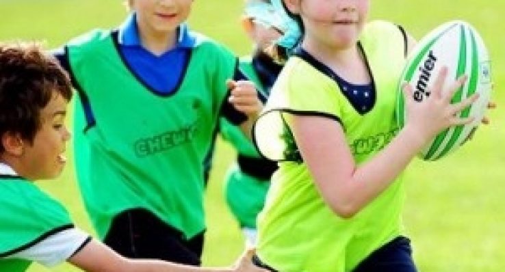 1f9467ed0ebd32e9dc822d63c55d5401