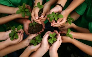 1fcc20496540a7e06827d47c4b246d7d