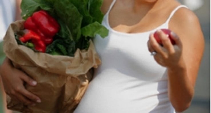 2e2843e2ade511d88df42c8a44a73c77 2e2843e2ade511d88df42c8a44a73c77