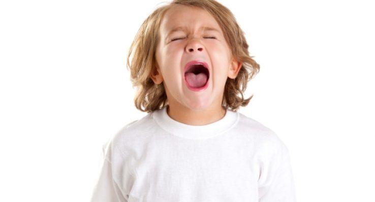 2e2c1711fe12b24ae23d95c35bfd21c2