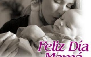 339a0e1449b6b4062056bc300d87e893