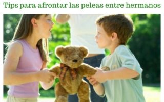 34291c6bdf650fb782edbdca8ac54bea