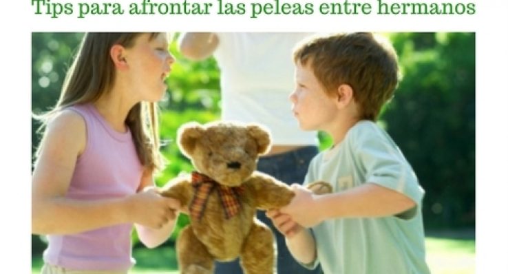 34291c6bdf650fb782edbdca8ac54bea