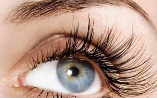 3ccd1b48e9d93a3fb26d16193042d8e2