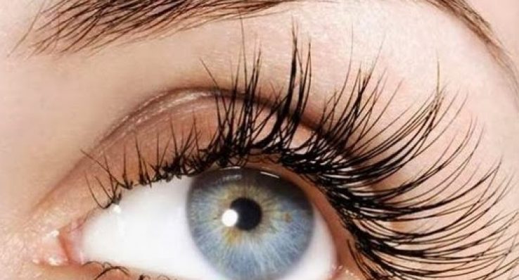 3ccd1b48e9d93a3fb26d16193042d8e2