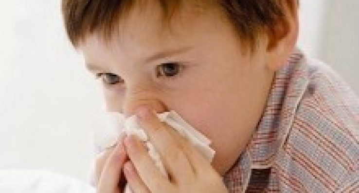 3f51ec9d49bc461803b454a4875d5aa8