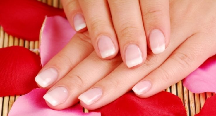 426eebb550cd46ce73cc8dcc4d1699c9 426eebb550cd46ce73cc8dcc4d1699c9