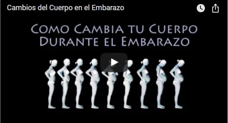 443d8124a98eeb875f9c56a79c8264f8