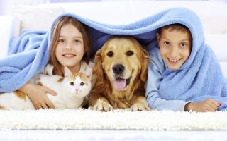 459eebd620c8a74d21de4cae2a5c425f